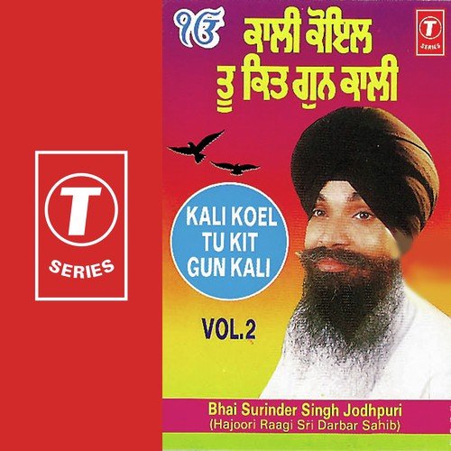Kali Koel Tu Kit Gun Kali (Vol. 2) Bhai Surinder Singh Ji (Jodhpuri) MP3 Download